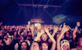 /album/fotogaleria/publico-avicii-tomorrowland-67493-gif/
